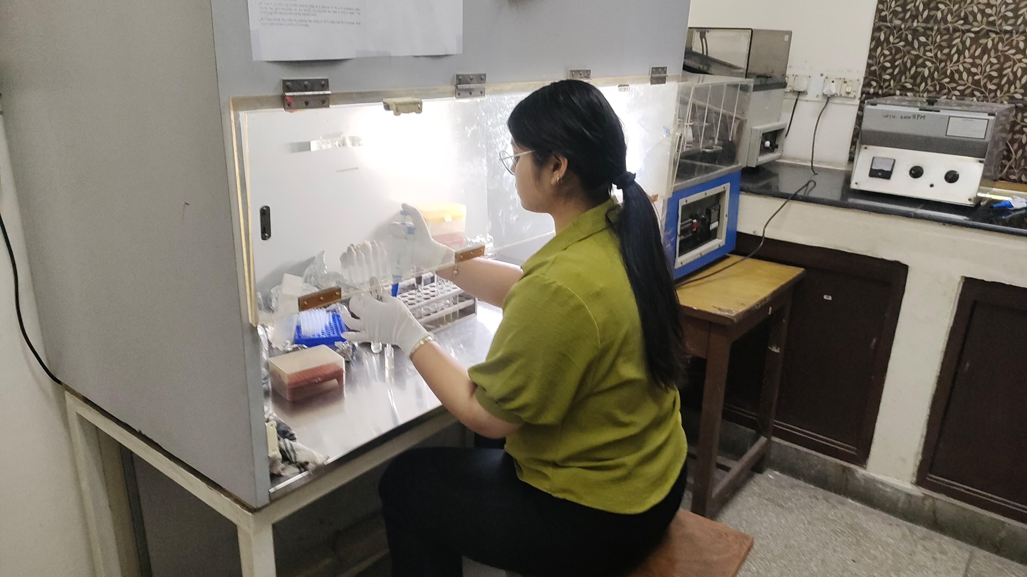 Laminar Flow in Culture room
